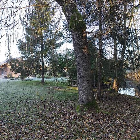 Gite Des Viviers -08400 Manre - De 1 A 2 Personnes Exterior foto